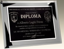 Diplomas y reconocimientos